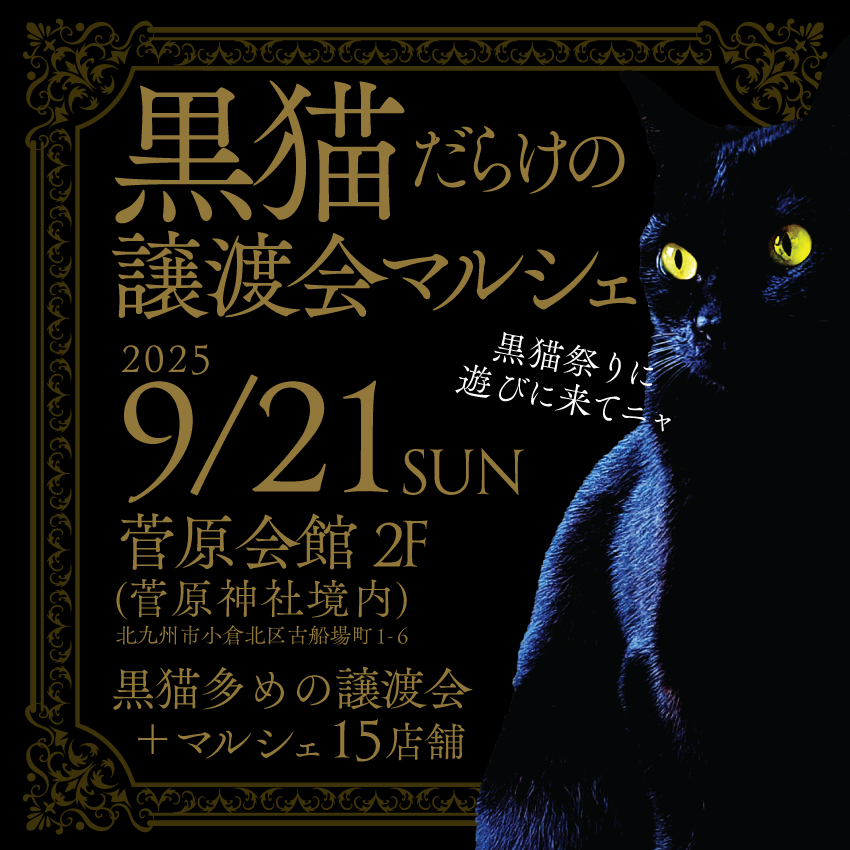 黒猫だらけの譲渡会マルシェ