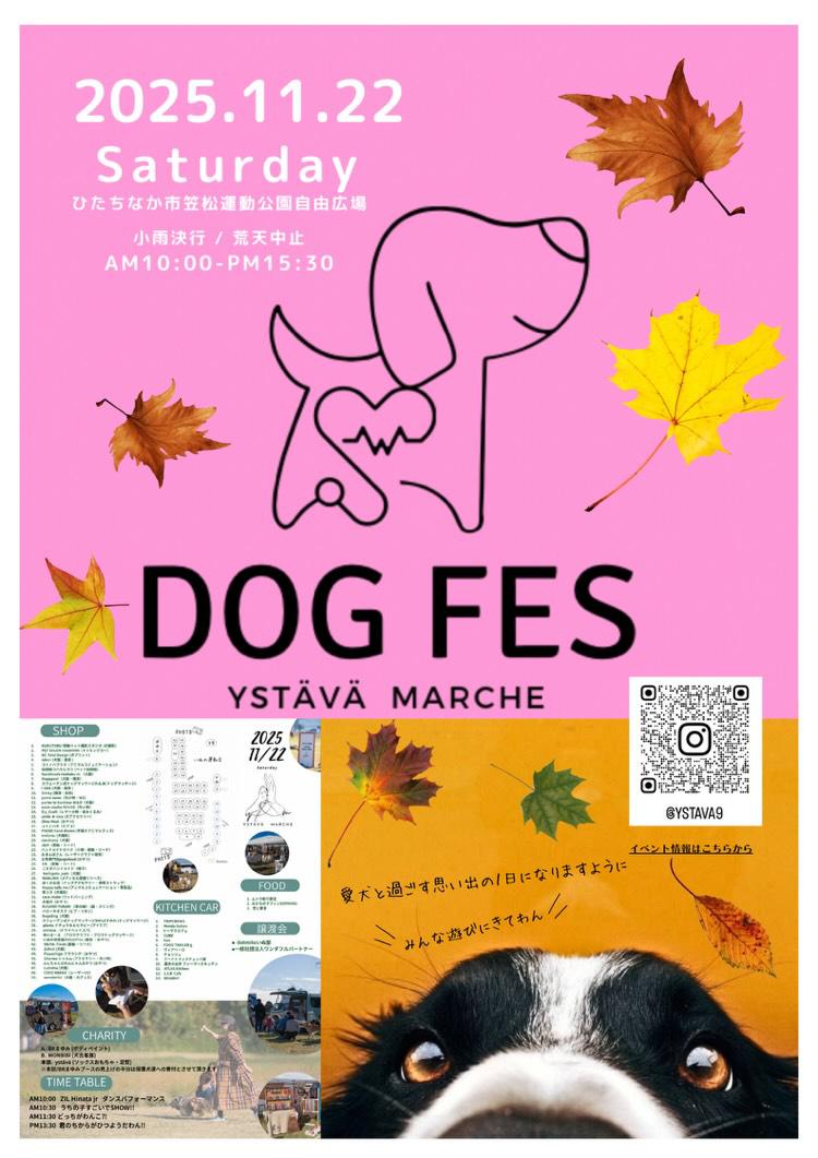 🎪 ystävä DOG FES 🎪
