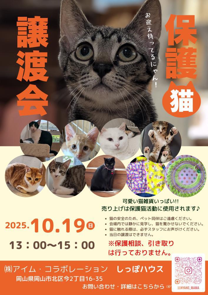 🐱 保護猫ご縁会