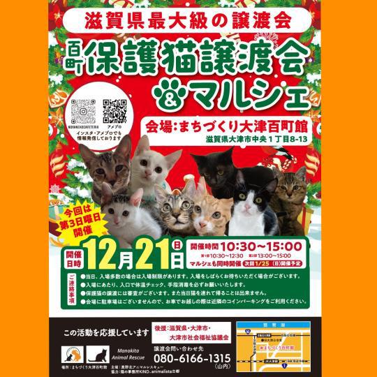  百町 保護猫譲渡会＆マルシェ