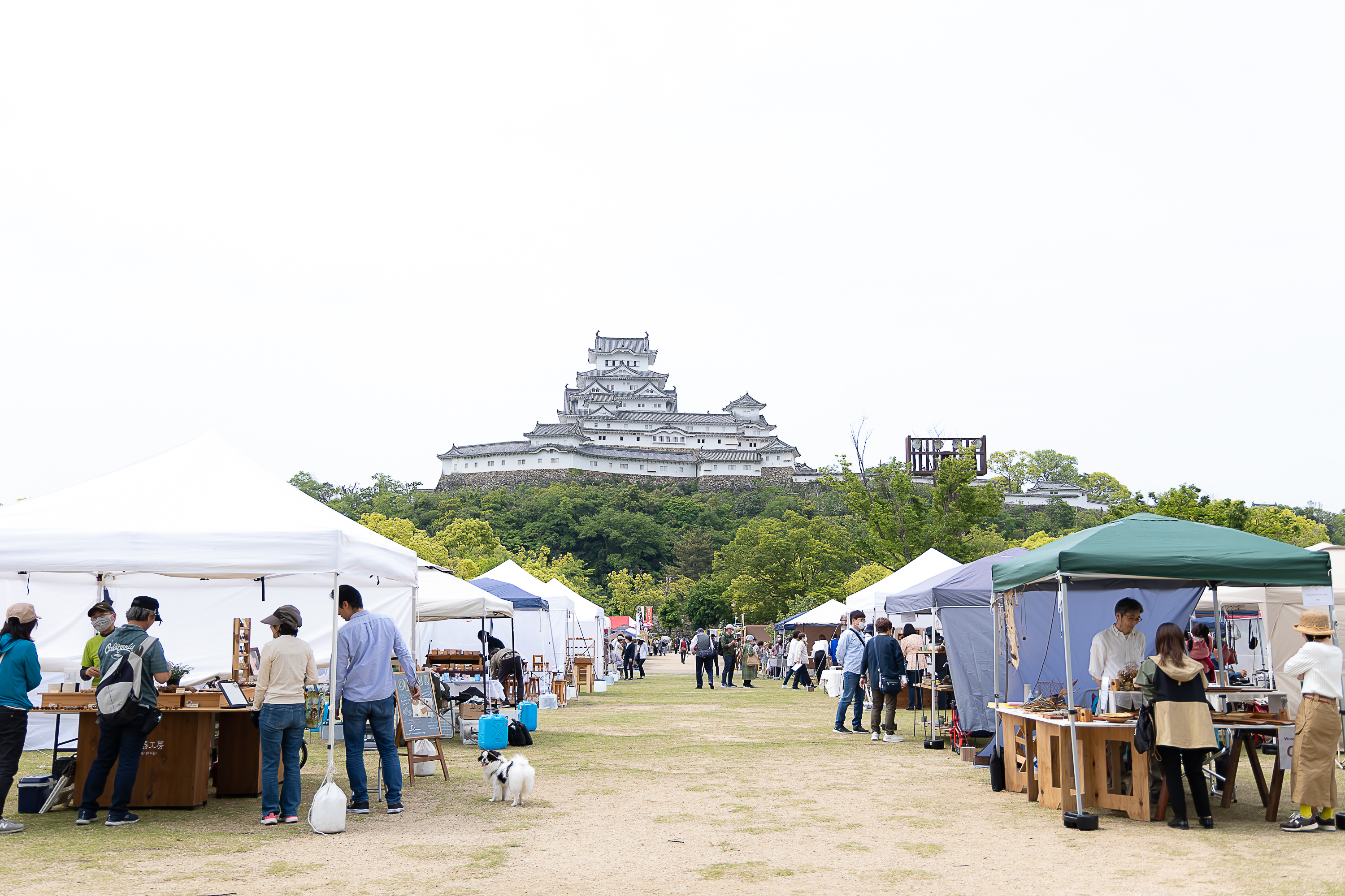 イベント画像 1