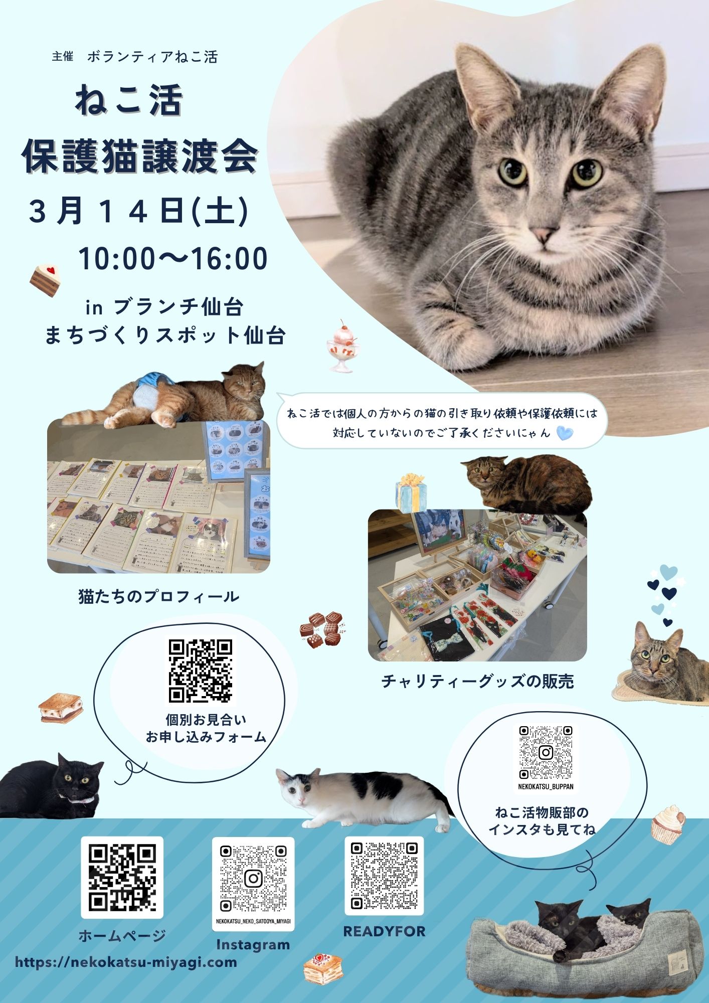 ねこ活 保護猫譲渡会
